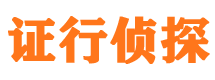 城东市调查公司